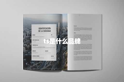 ts是什么品牌