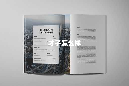 才子怎么样
