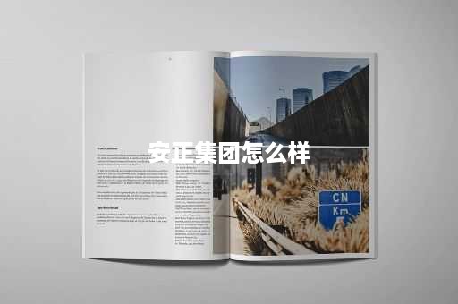 安正集团怎么样