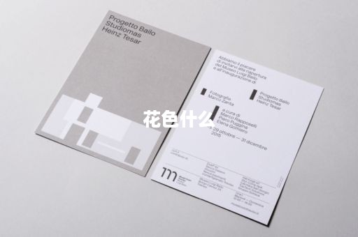 花色什么