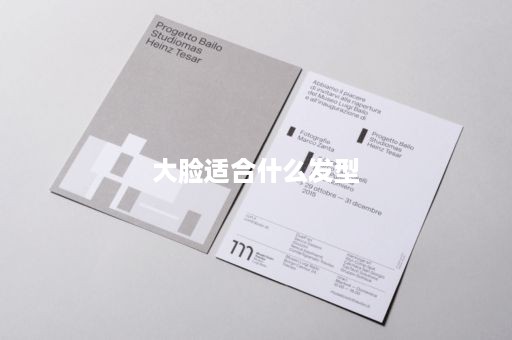 大脸适合什么发型