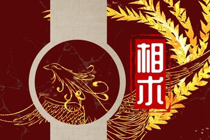 女人左下眼皮跳的预兆周易 了解眼跳科学解释 女人左下眼皮跳的预兆周易 了解眼跳科学解释