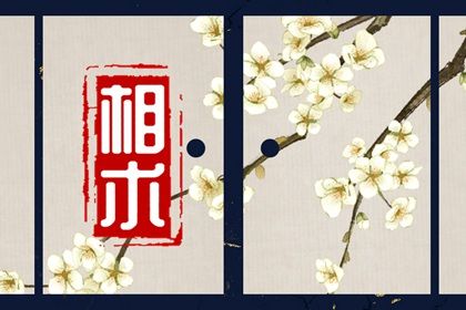 左上眼皮跳民间说法 眼皮跳动的缓解方法 左上眼皮跳民间说法 眼皮跳动的缓解方法