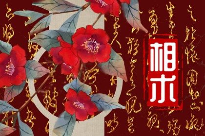 左下眼皮跳民间说法 左下眼皮跳是什么意思 左下眼皮跳民间说法 左下眼皮跳是什么意思