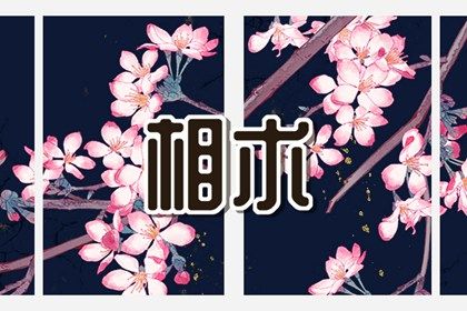 额头大的女生面相解析 额头大性格和命运好吗 额头大的女生面相解析 额头大性格和命运好吗