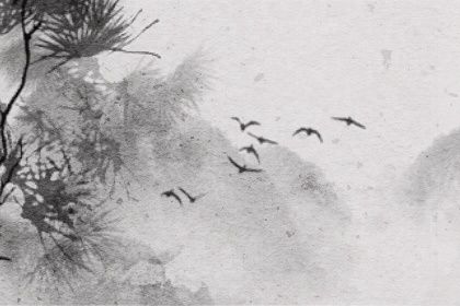 二两八钱女命晚年运好吗 二两八钱女命详解 二两八钱女命晚年运好吗 二两八钱女命详解