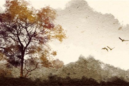 女人一般几两命最好 二两七钱女家境富裕幸福美满 女人一般几两命最好 二两七钱女家境富裕幸福美满