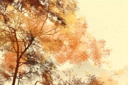 六道轮回为什么是六道 六道指什么 六道轮回为什么是六道 六道指什么