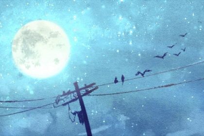 四两男命一生婚姻状况 四两骨重男人命运分析 四两男命一生婚姻状况 四两骨重男人命运分析