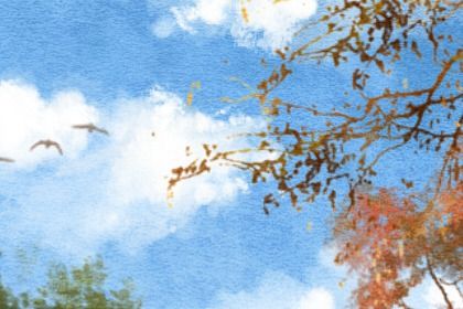 庚申日柱2023年运势详解 事业上有机遇 庚申日柱2023年运势详解 事业上有机遇