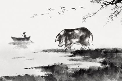 95属猪男生命中注定要娶的人 属猪的合婚生肖 95属猪男生命中注定要娶的人 属猪的合婚生肖