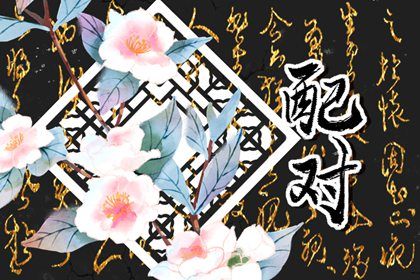 水瓶座和双鱼座适合做夫妻吗 水瓶座和双鱼座配不配 水瓶座和双鱼座适合做夫妻吗 水瓶座和双鱼座配不配