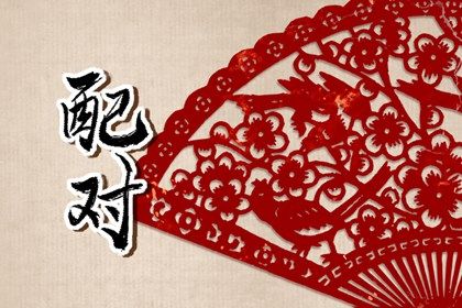 射手座跟什么星座最配婚合适 一见钟情随心所欲安稳相处 射手座跟什么星座最配婚合适 一见钟情随心所欲安稳相处