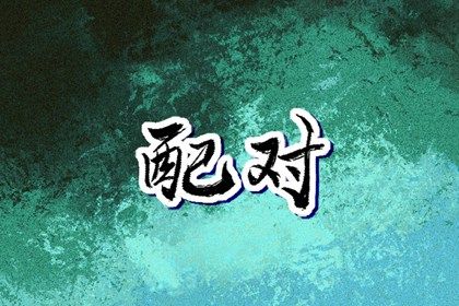 2003年和2004年婚配合适吗 并非是一段长久和睦的婚姻 2003年和2004年婚配合适吗 并非是一段长久和睦的婚姻