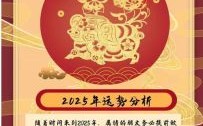 2025年香港码报十二生肖运程解析：财运事业爱情全预测