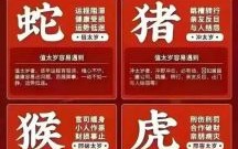 麦玲玲2025年十二生肖运势详解视频_最新运程预测分析