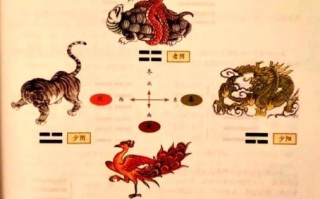 三才八卦运机打一生肖解析：揭秘传统易学与生肖的玄妙关联