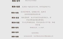 属相狗的最佳婚配属相，揭秘最合拍的生肖配对