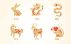2025年生肖运程详解图：七星堂精准预测12生肖运势