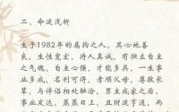 1982年属狗人一生运势详解：事业财运婚姻全解析