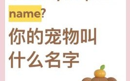 30个超可爱的宠物名字推荐，萌翻你的小宝贝！