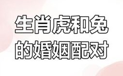 属虎的最佳婚配属相，属虎人和什么生肖最配