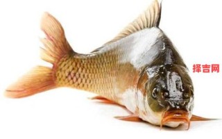 梦见鱼是什么征兆？解梦大师揭秘鱼梦的吉凶预兆