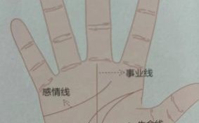 手又白又嫩代表什么命格？揭秘手相与运势的关联