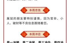 五行八卦运玄机打一生肖谜底解析与生肖运势关联