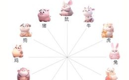 属鼠的和什么属相最配？12生肖婚配最佳组合解析