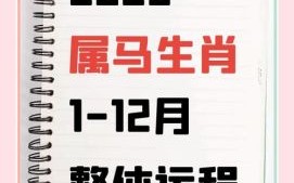 2025年农历十二月生肖蛇运势解析：事业财运健康全指南