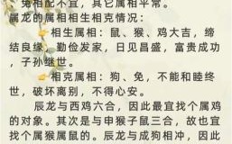 龙与哪些属相最相配？生肖配对解析与婚配建议