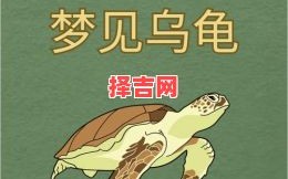 梦见乌龟的寓意解析：周公解梦详解乌龟象征含义