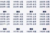 生肖男孩命格解析：哪些属相运势最佳？