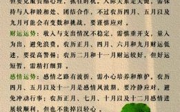 2025年大运五行属什么生肖？12生肖运势解析