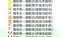 90年属马的最佳婚配属相及生肖配对解析