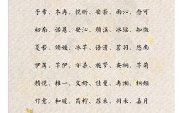 古代优美名字大全：唯美古典名字推荐及寓意解析