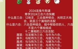 三朋四友运方来打一生肖谜底解析与生肖文化趣谈