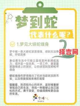 梦见好多蛇是什么预兆？周公解梦揭示7种吉凶暗示-第1张图片