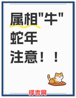 梦见牛是什么预兆？12种梦境解析与运势暗示-第1张图片