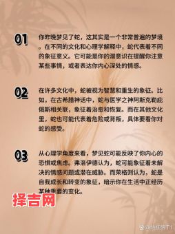 男人梦见蛇的寓意解析：周公解梦揭秘蛇梦预兆-第1张图片
