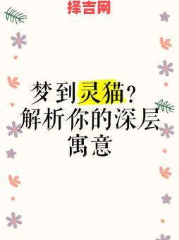梦见猫代表什么？12种常见梦境解析与象征意义-第1张图片
