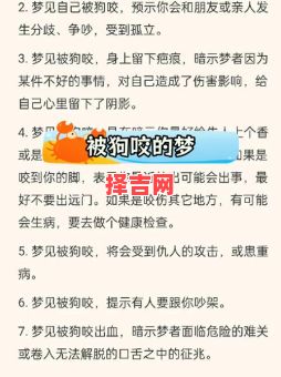 梦见被狗咬预示什么？解析梦境背后的含义与象征-第1张图片