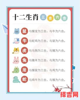 七伴九运三不出打一生肖谜底解析，十二生肖中谁最符合？-第1张图片