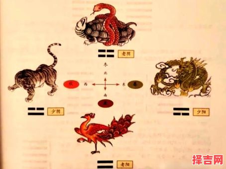 三才八卦运机打一生肖解析：揭秘传统易学与生肖的玄妙关联-第1张图片