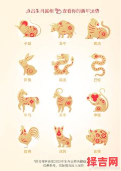 2025年生肖运程详解图：七星堂精准预测12生肖运势-第1张图片