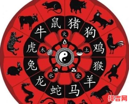 运交甲寅百事通打一生肖谜底揭晓：生肖运势解析-第1张图片
