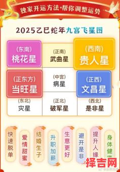 2025年十二生肖运势解析_属相运程详解-第1张图片