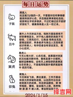 19年属虎人12月运势解析：事业财运健康全指南-第1张图片