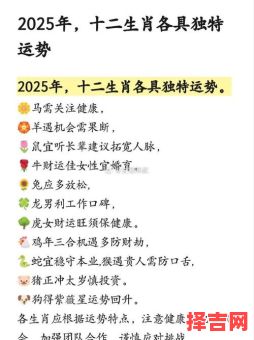 当机立断九运来打一生肖解析：2025年运势生肖大揭秘-第1张图片